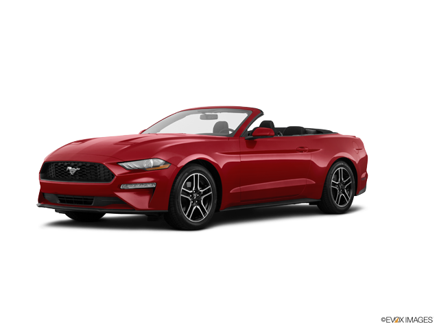 Mustang EcoBoost