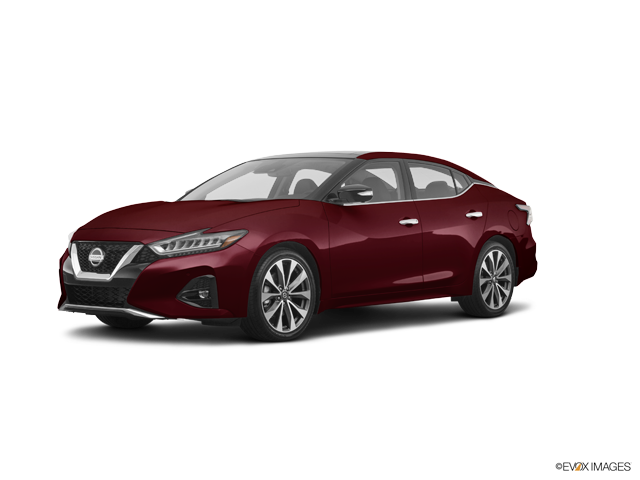 Maxima S Carnelian Red Tintcoat