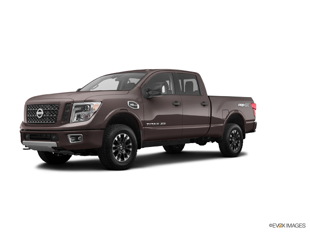 Titan XD Platinum Reserve Java Metallic